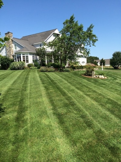 Perfect lines on freshly mowed lawn