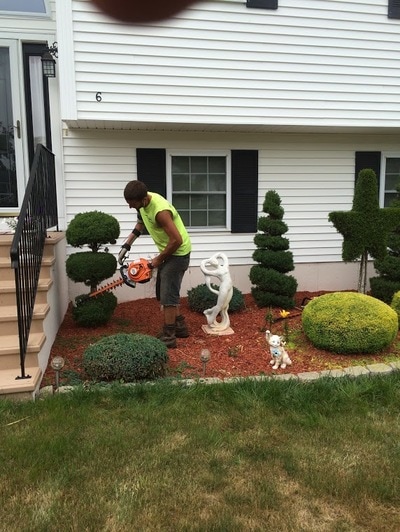 Decorative custom hedge trimming in a variety of shapes