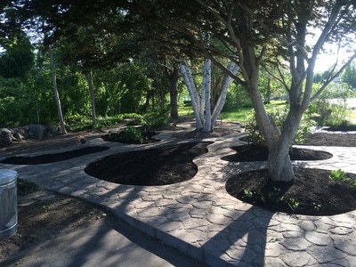 Park with several tree beds with new mulch